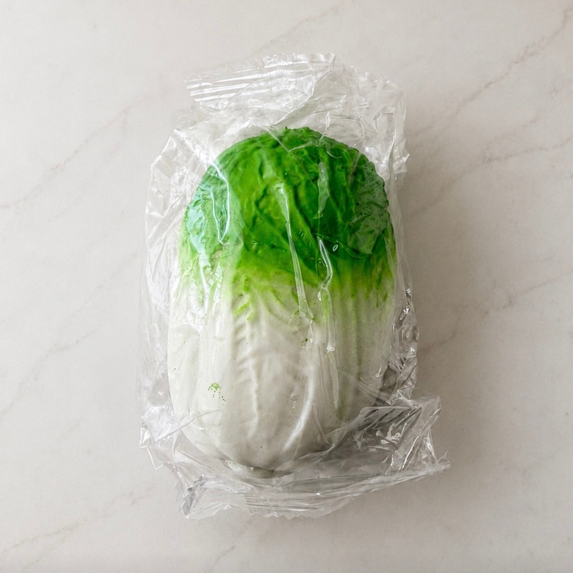 Green Cabbage Squishy